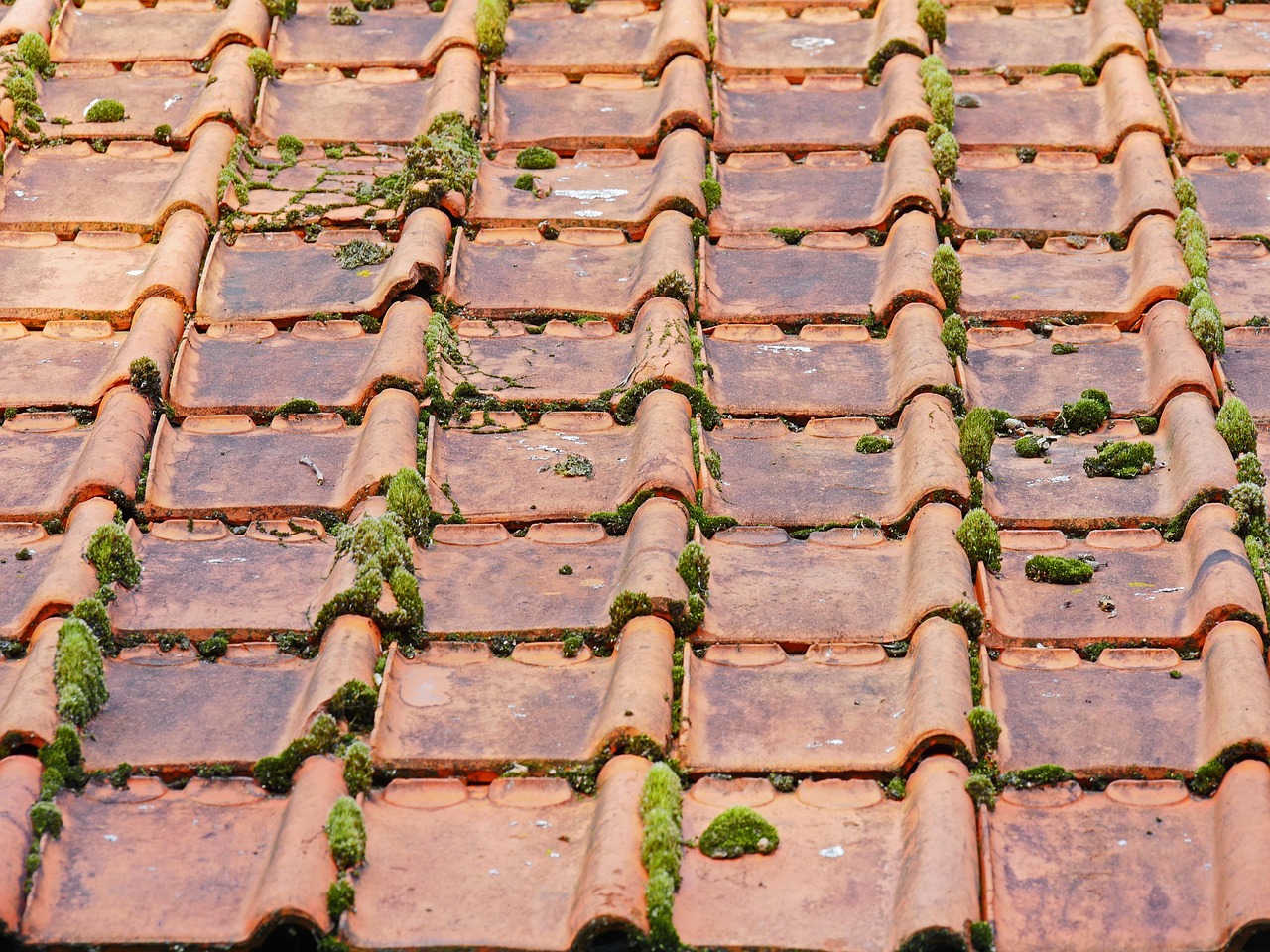 services-04 old roof, roof tiles, barn, moss, roof, brick, vegetation, mossy old, roofing, old roof, roof tiles, roof tiles, roof tiles, roof, roof, roof, roof, roof, roofing