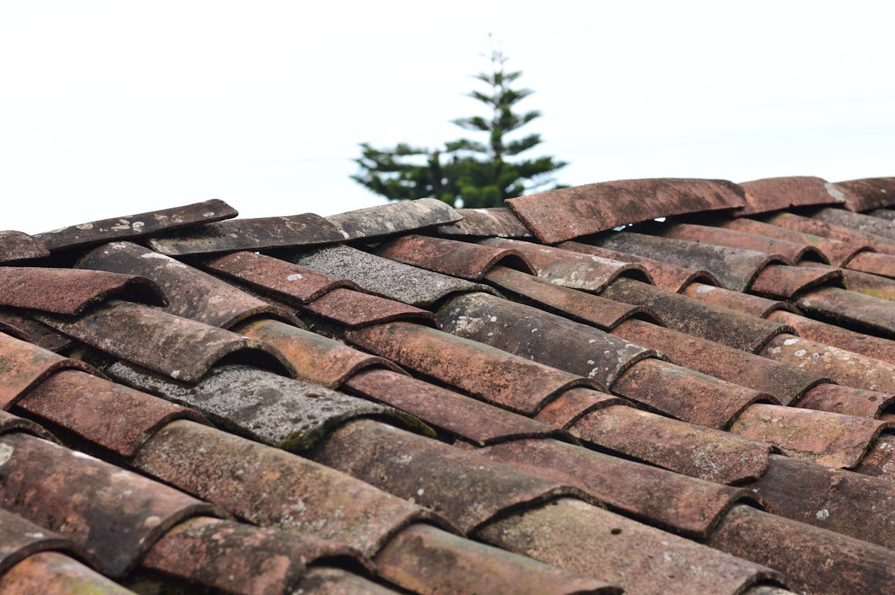 story-01 A close-up view of rustic, weathered clay roof shingles under a clear sky in Puebla, Mexico.